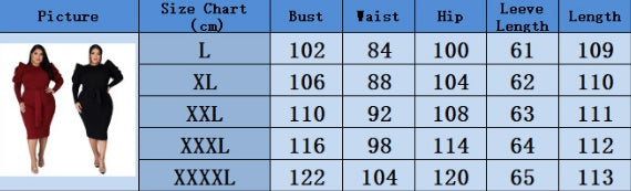 Women's Slim Fit Plus Size Dress